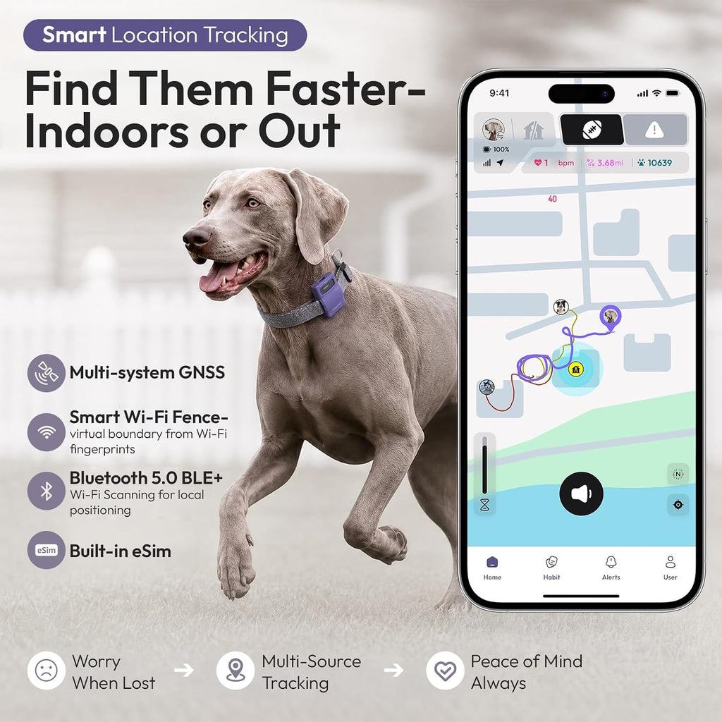 Pet Habit & Activity Smart Tracker, 4G LTE GPS Tracker for Dogs