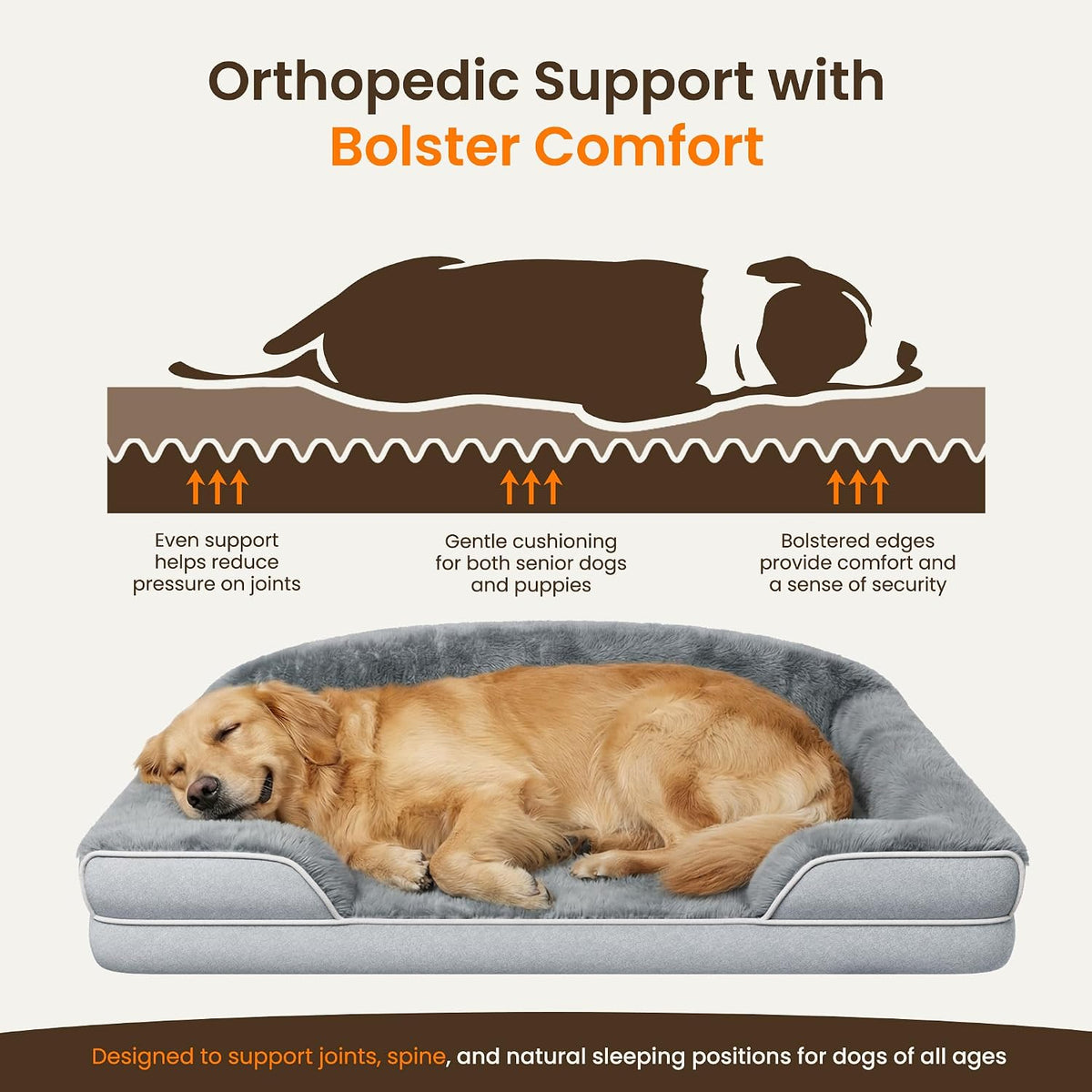 Orthopedic Dog Bed for Small to Medium Dogs, 30"x20" Dog Couch Bed