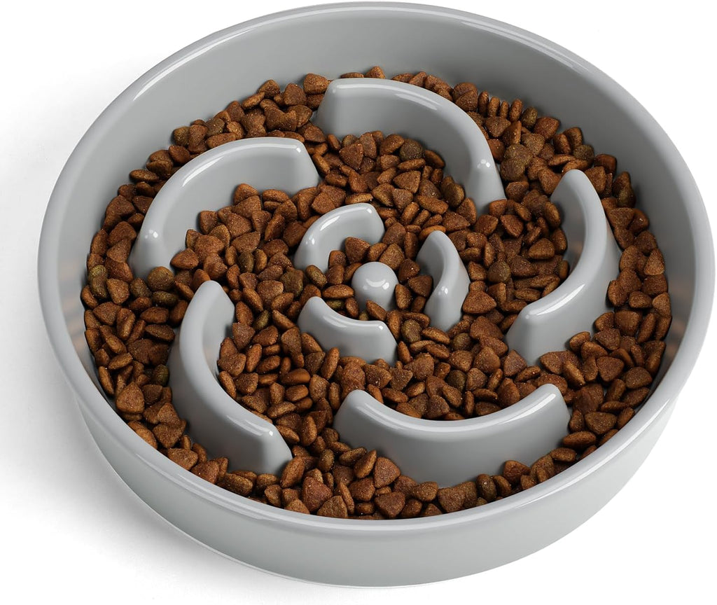 Ceramic Slow Feeder Dog Bowl, 2 Cups Maze Puzzle Dish to Slow Down Eating