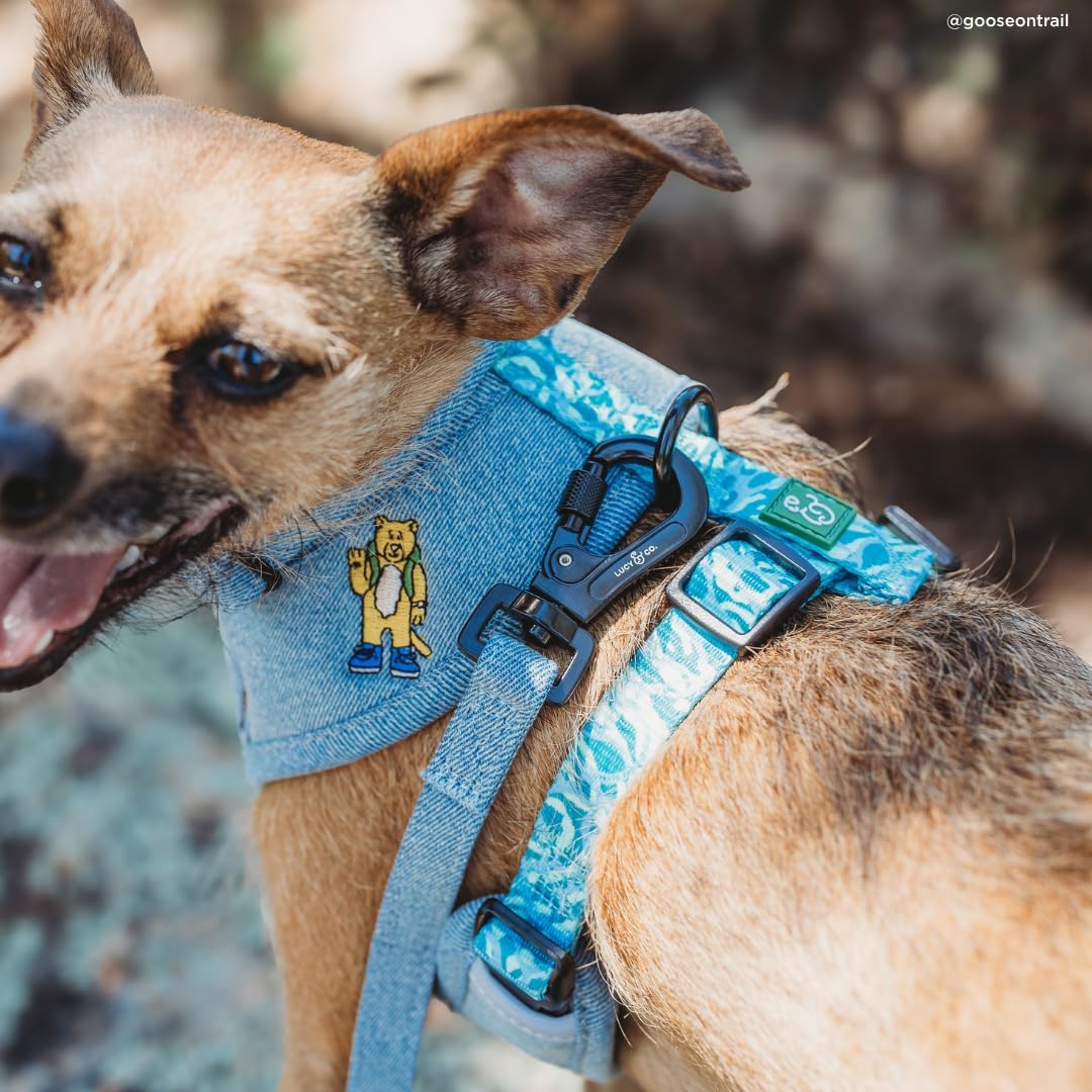 Lucy & Co. x Parks Project Adventures with Friends Dog Leash, S