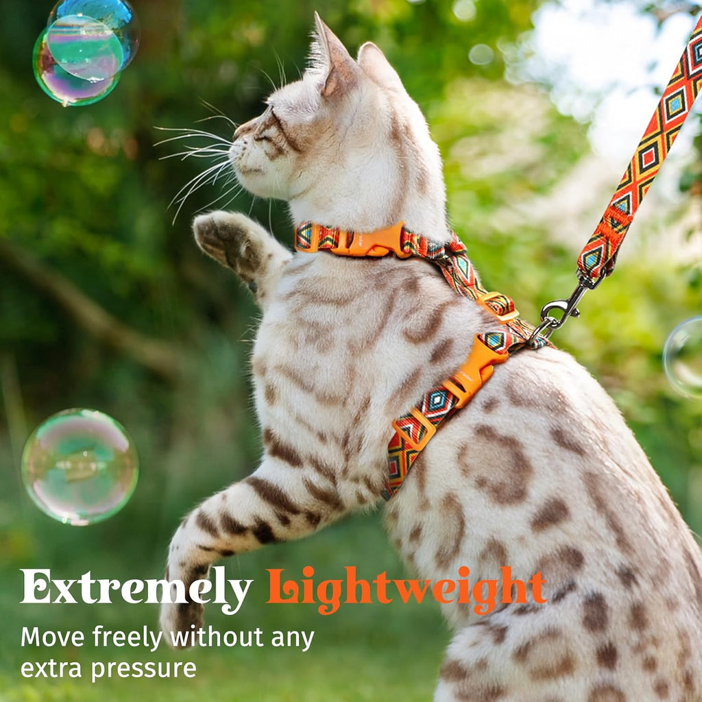 Dooradar Cat Harness and Leash Set, Adjustable Pet Straps, Orange & Black
