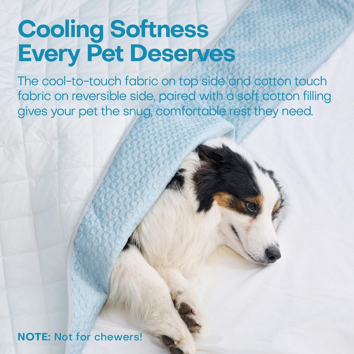 Reversible Dog Cooling Blanket, Washable High Cold Pet Bed Cover