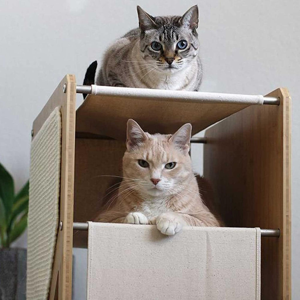 Catastrophic Creations The Grotto Cat Condo – Includes Cat Shelves, Cat Scratcher Poles & Cat Hammocks – Cat Activity Trees w/3 Seclusions – Lounging & Scratching Cat Tower for Indoor Cats