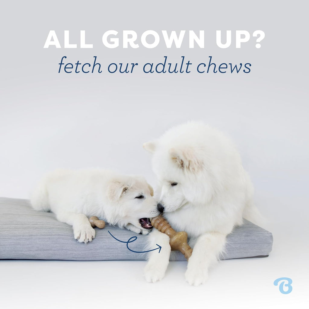 Benebone Dog Chew Toys for Gentle Chewers, Dog Bones, Small, Puppy (Pack of 32)