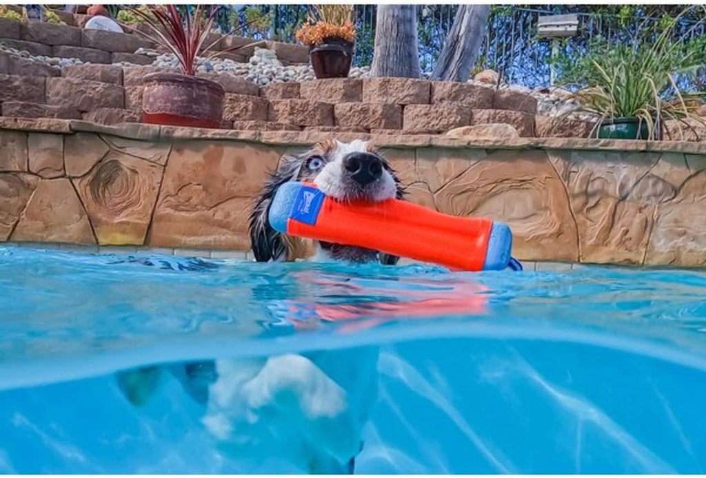 Chuckit! Amphibious Bumper Fetch and Float Toy 2 Sizes Assorted Colors | Floats in Water & Keeps Dogs Busy with Interactive Fetch Play; Made of Tough Rubber, Nylon & Foam with Non-Slip Rope Handle