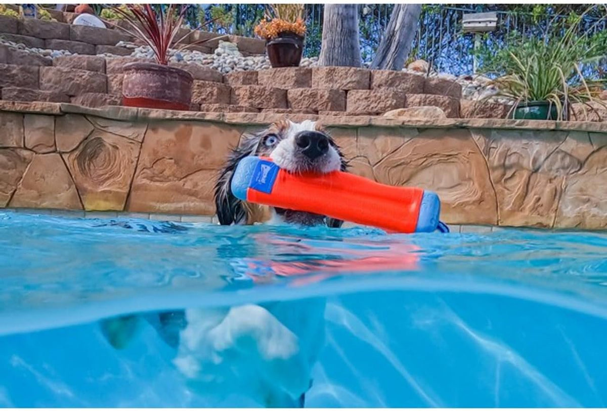 Chuckit! Amphibious Bumper Fetch and Float Toy 2 Sizes Assorted Colors | Floats in Water & Keeps Dogs Busy with Interactive Fetch Play; Made of Tough Rubber, Nylon & Foam with Non-Slip Rope Handle