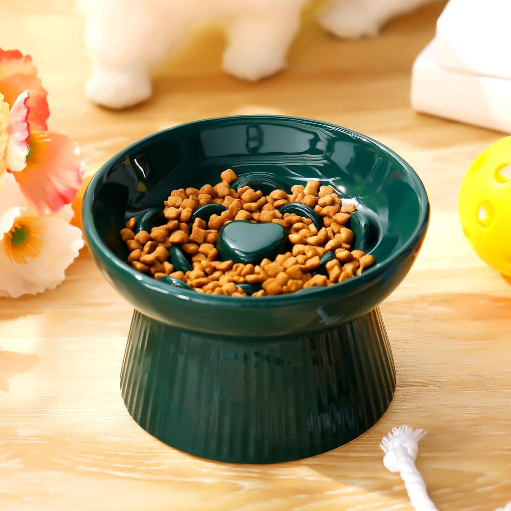 Tioncy 2 Pcs Ceramic Elevated Slow Feeder Cat Bowl, Dark Green