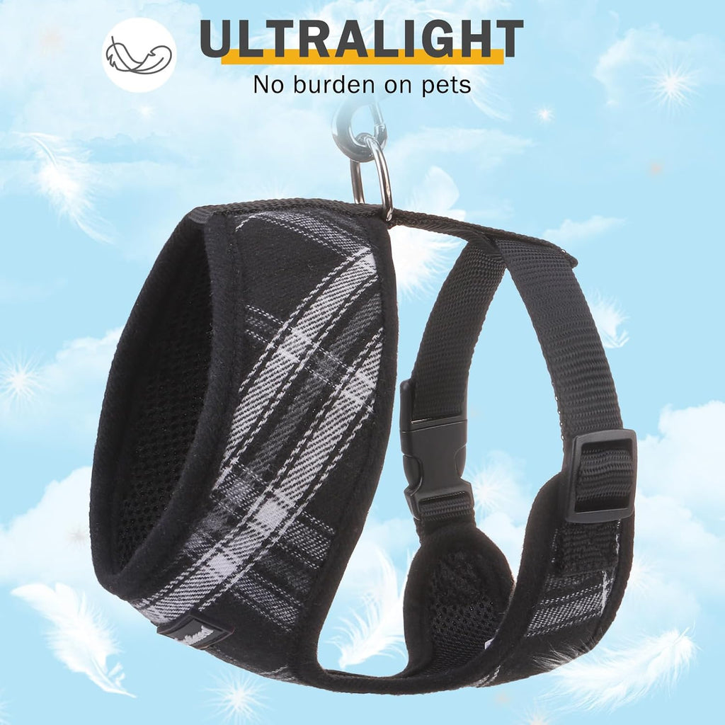 SCENEREAL No Pull Dog Harness and Leash Set Small Medium Sized Dog