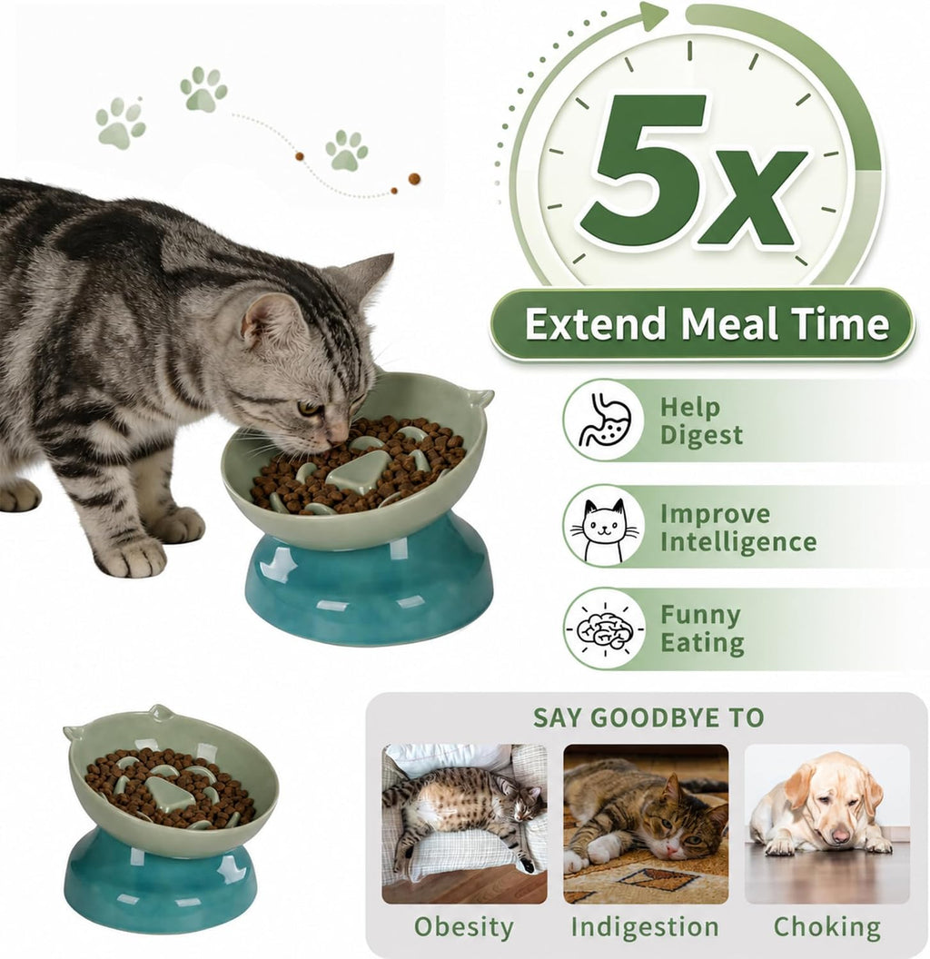 Ceramic Slow Feeder Cat Bowl, 15-Degree Tilted Non-Slip