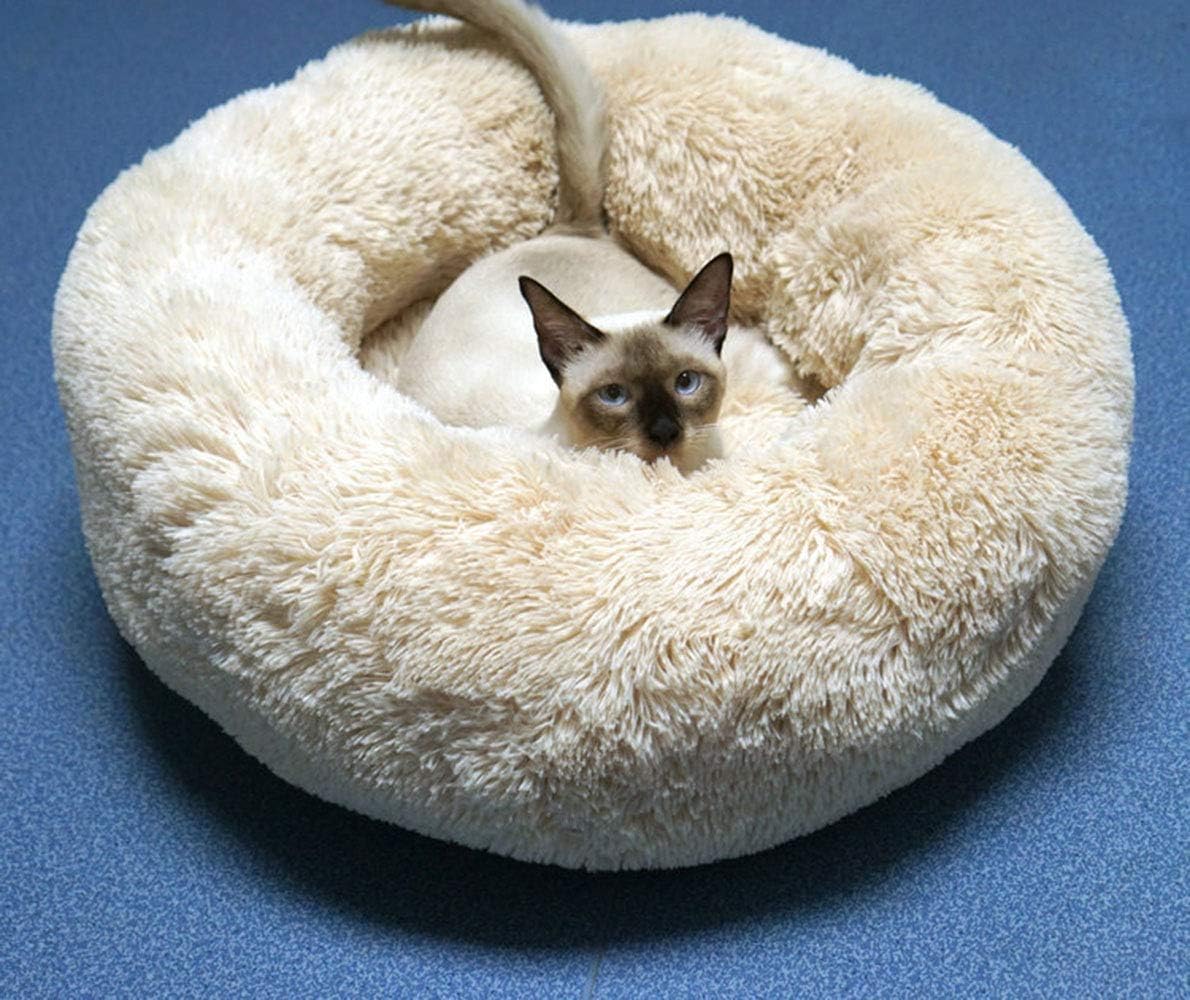 Dog Bed for Small Dogs & Cats, 24 Inch Medium Fluffy Washable Donut Bed