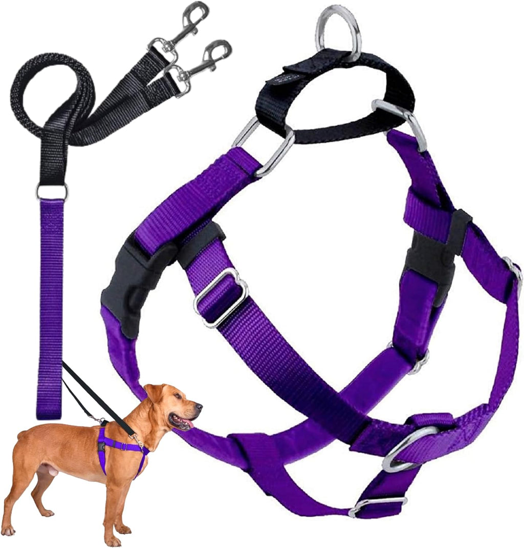2 Hounds Design Freedom No Pull Dog Harness and Leash, 1" XL, Purple