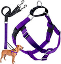 2 Hounds Design Freedom No Pull Dog Harness and Leash, 1" XL, Purple