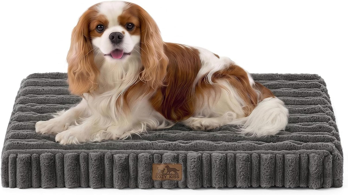 COZY KISS Orthopedic Washable Dog Bed for Small Dogs, Removable, Grey