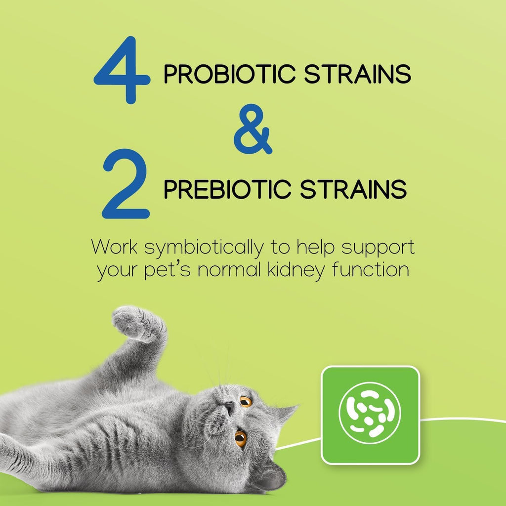 NEPHRODYL Synbiotic Capsules for Cats & Dogs, Kidney Support, 60ct