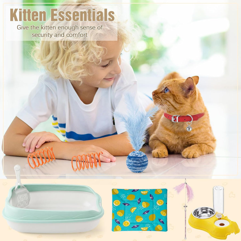 Eccliy 10 Pcs Kitten Starter Kit for Indoor, Cute, Small, Multicolor
