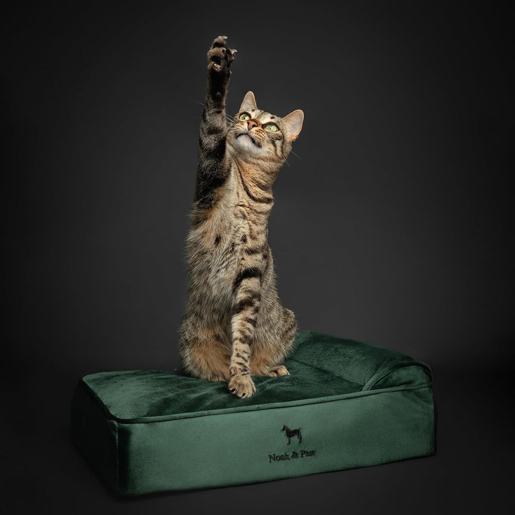 NOAH & PAW Small Cat & Dog Bed Orthopedic Cooling Memory Foam 20x15x6.5