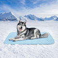 Cooling Mat for Dogs Extra Large, Washable Cooling Pad 59"x40"，Light Blue