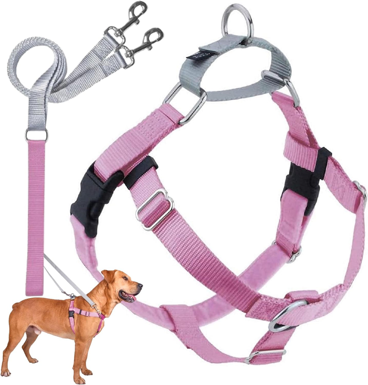 2 Hounds Design Freedom No Pull Dog Harness and Leash, 1" MD, Rose