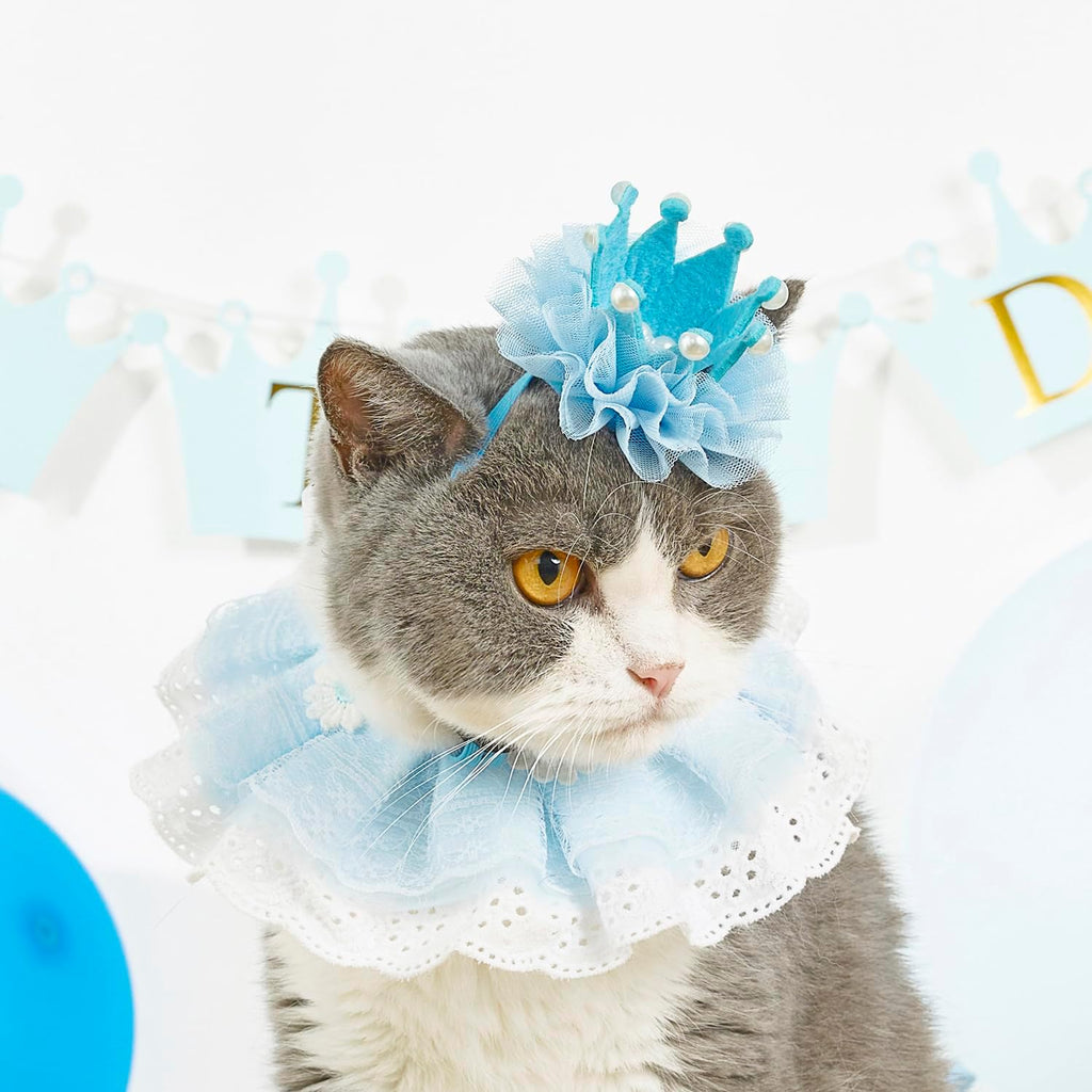 Cat Princess Costumes Cat Crown Hat & Lace Bandana Scarf Set, Puppy Party Hat for Small Dogs & Cats, Lace Outfit for Cats and Small Dogs Birthday Party (Blue)