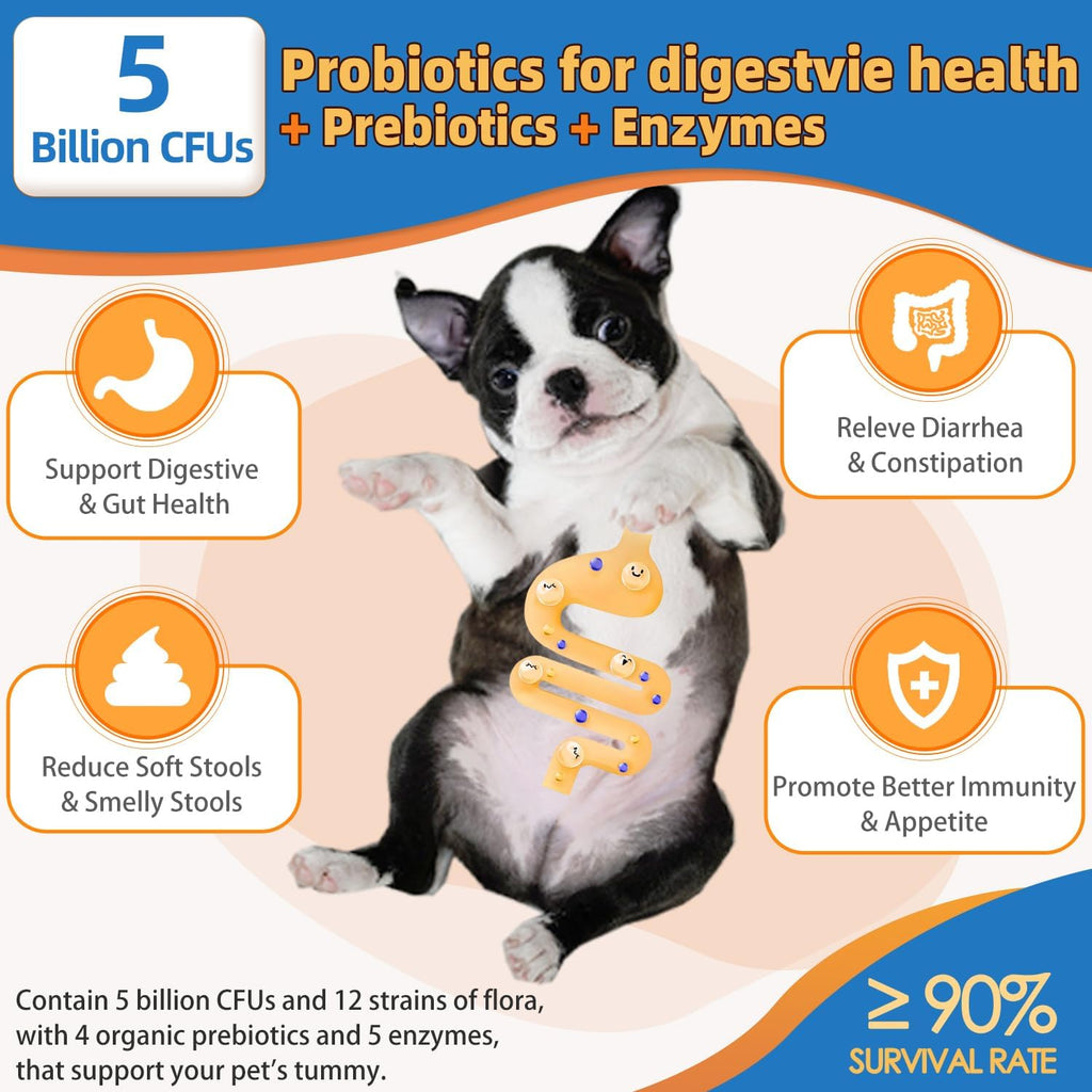 ZEBORA Dog Vitamins Powder - Multivitamin for Dogs & Cats - 90 Scoops