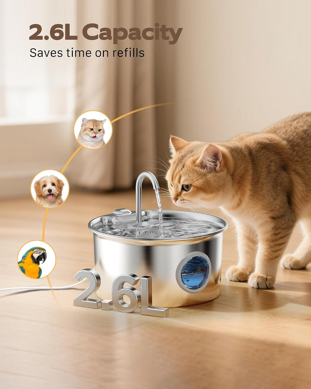 Stainless Steel Cat Water Fountain: Cat Fountain with 6 Filters + 3 Sponges