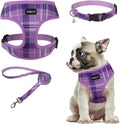SCENEREAL No Pull Dog Harness and Leash Set Small Medium Sized Dog