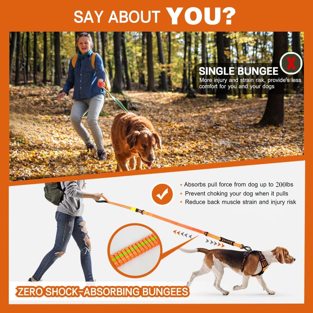 Heavy Duty Bungee Dog Leash with Locking Carabiner for Large Dogs