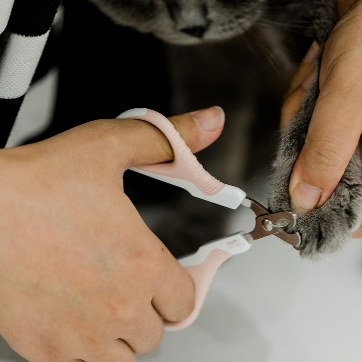 Mr. Pen- Cat Nail Clipper, Stainless Steel