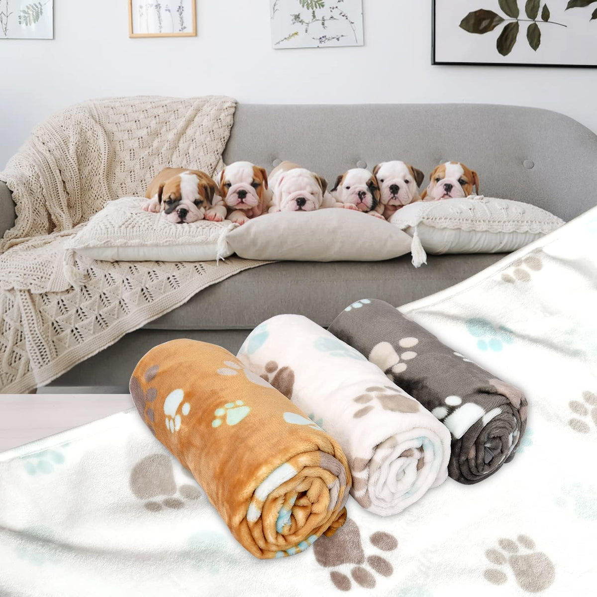 Rezutan 3 Pack Premium Soft Dog Blanket for Medium Dogs Puppy & Cat