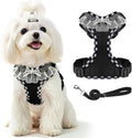 ABRRLO Cute Puppy Harness and Leash Set for Small Dogs Cats Boys,Black M