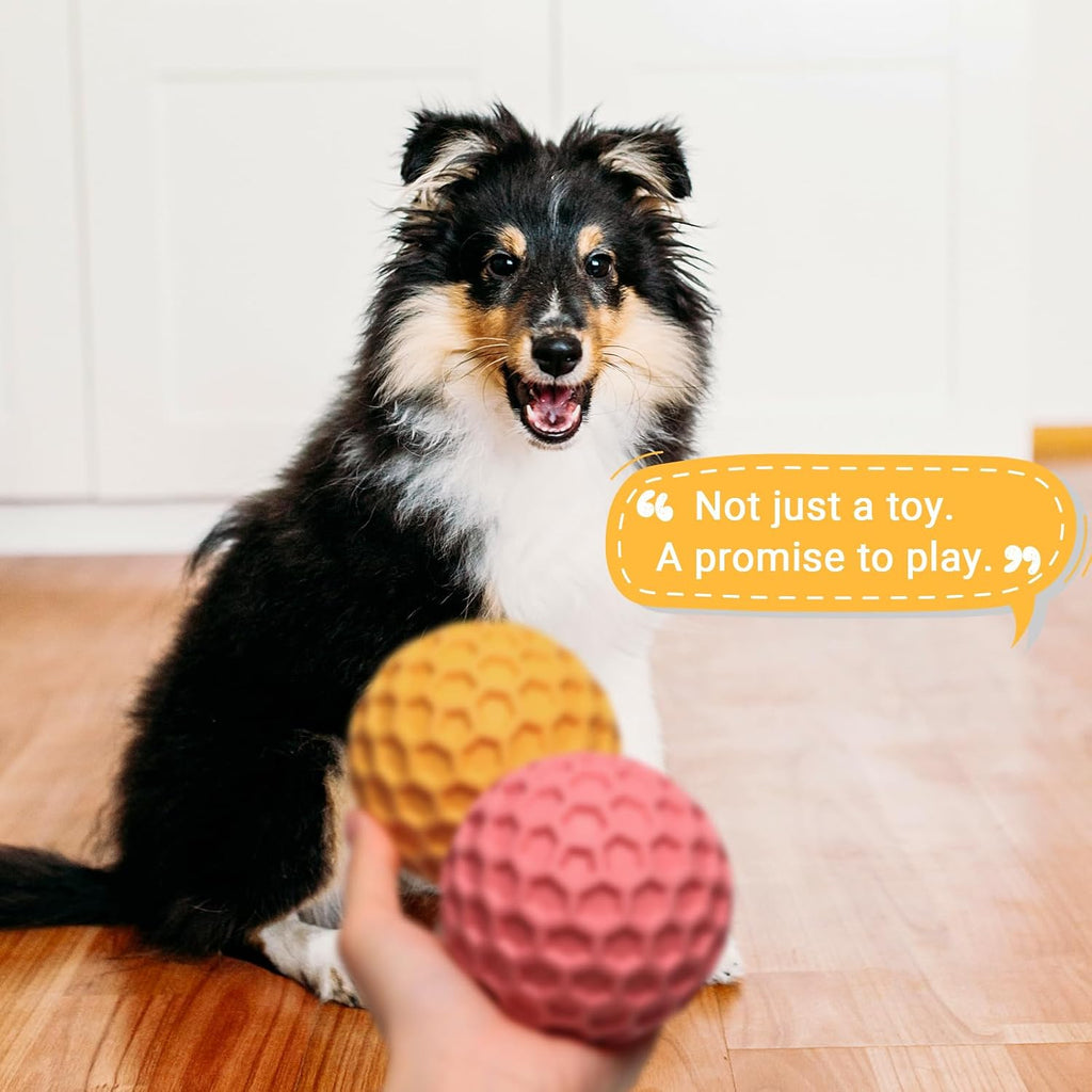 iPettie 4 Pack Honeycomb Dog Toys for Aggressive Chewers, Squeaky Chew Toys | Safe Rubber for Interactive Play, Tough Floating Chew Toy for Medium & Large Breeds, 3.15"