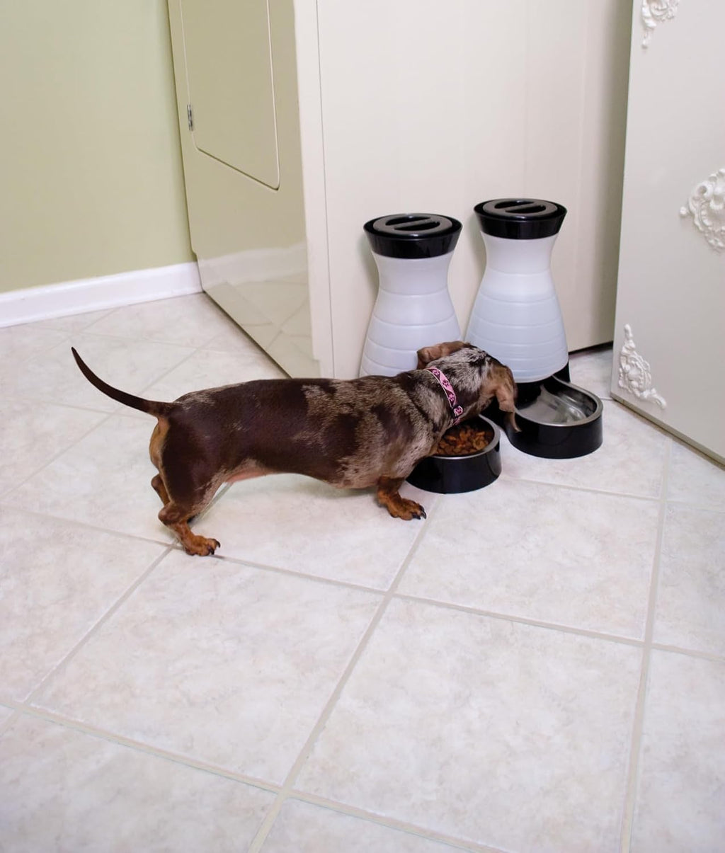 PetSafe Healthy Pet Water Station, 128 oz, Stainless Steel Bowl, Medium