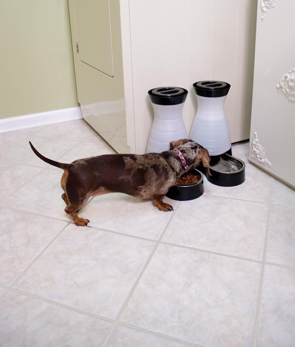 PetSafe Healthy Pet Water Station, 128 oz, Stainless Steel Bowl, Medium
