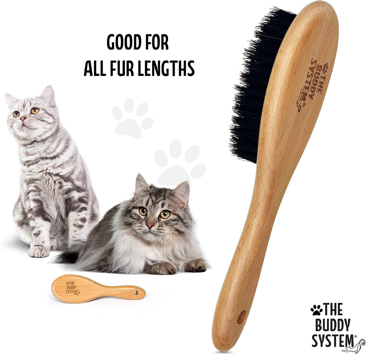 The Buddy System - Soft Cat Brush with Boar Bristles, 1 Pack | Cat brush with wooden handle, daily grooming pet brush, reduce shedding and gives coat a healthy shine - boar bristles 