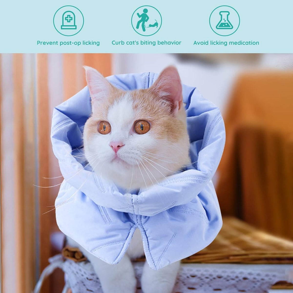 Cat Recovery Collar, Soft Adjustable Cat Cone Alternative