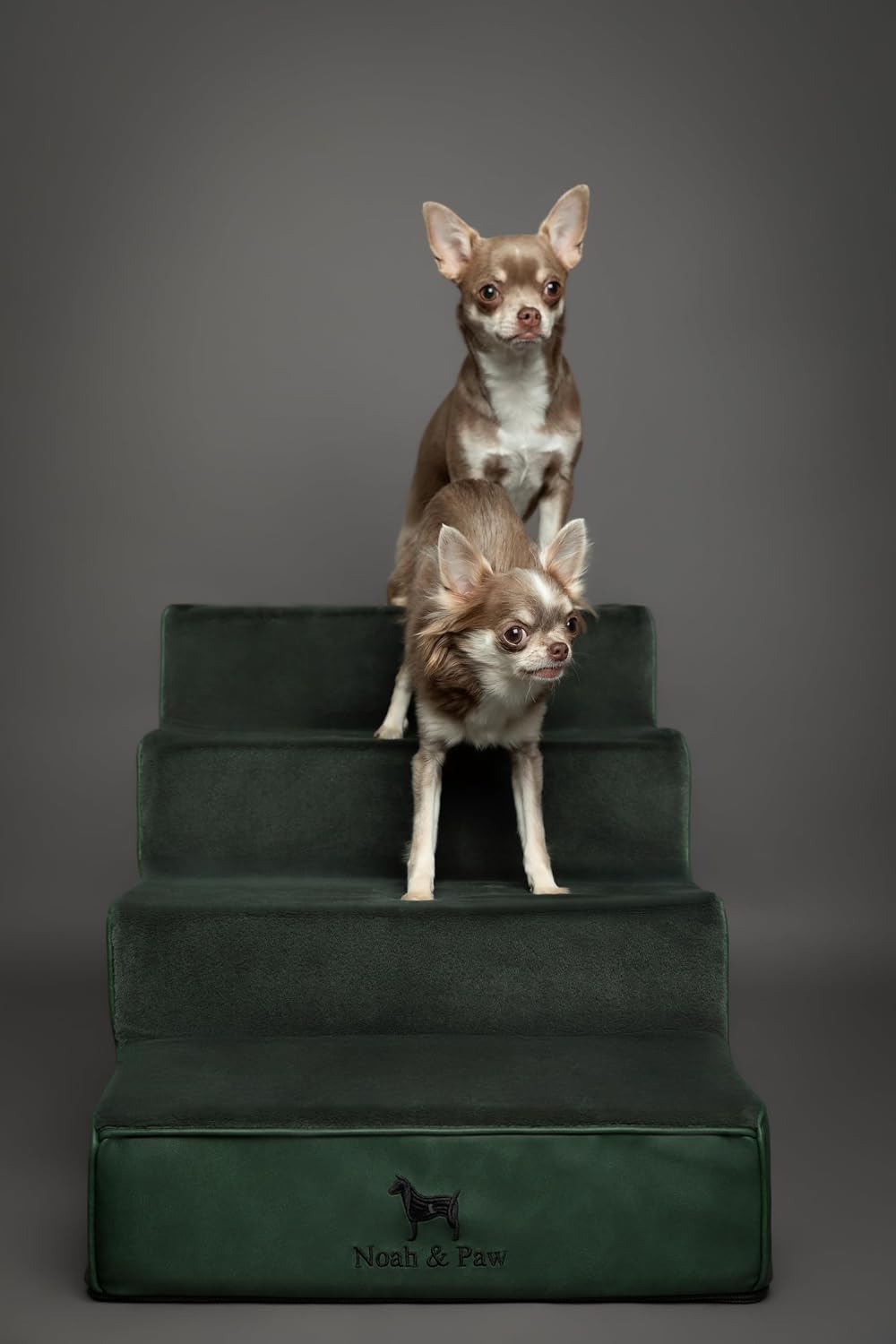 Noah & Paw Dog Steps for Bed, Up to 150lb, Extra Wide Dog Stairs for Bed