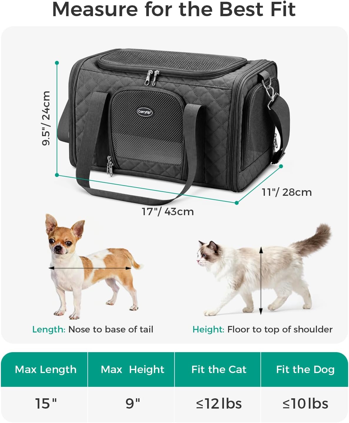 Cat Carrier Airline Approved, Soft Pet Carrier, 17x11x9.5 in, Black