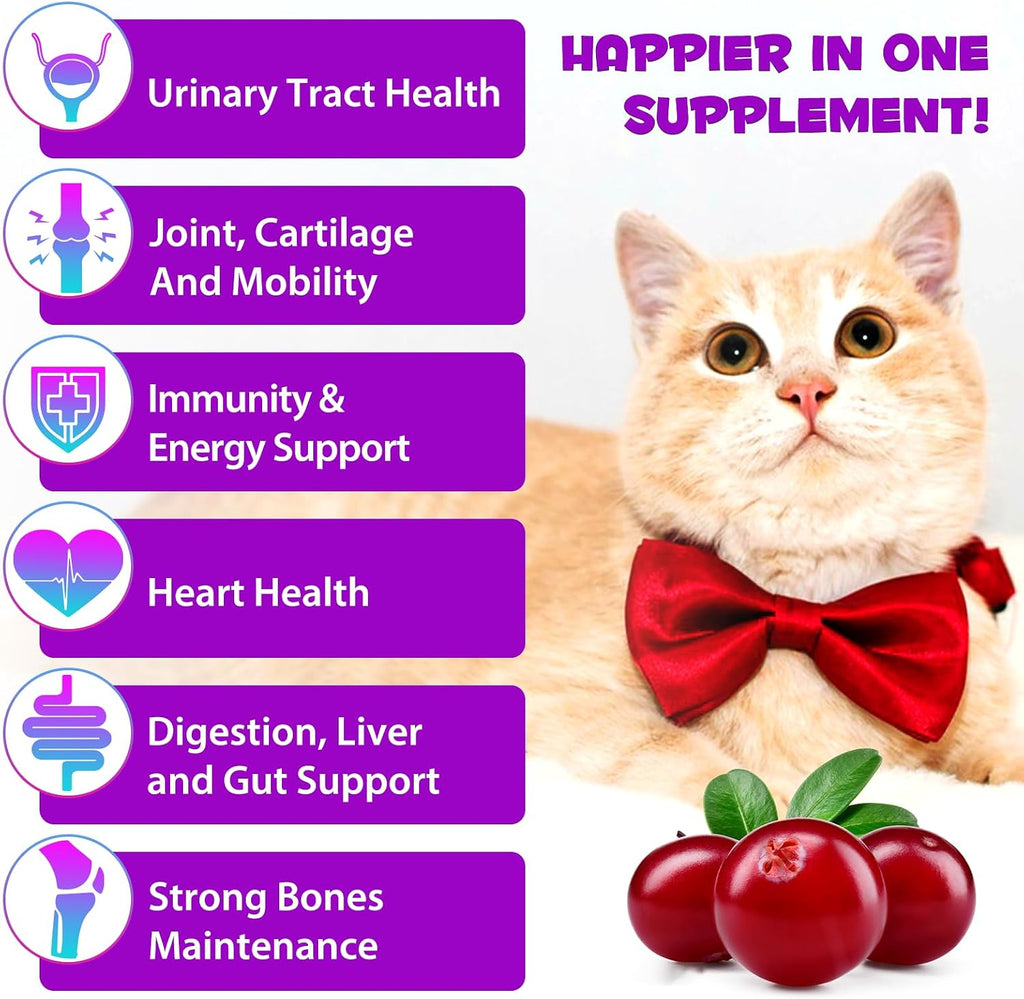 VOSIFSDIY Cat Multivitamin,15 in 1 Cat Vitamins Liquid Drops Supplements for Heart Health, Bones, Joint, Skin & Coat, Bladder, Immune System Support 60ml-2pcs