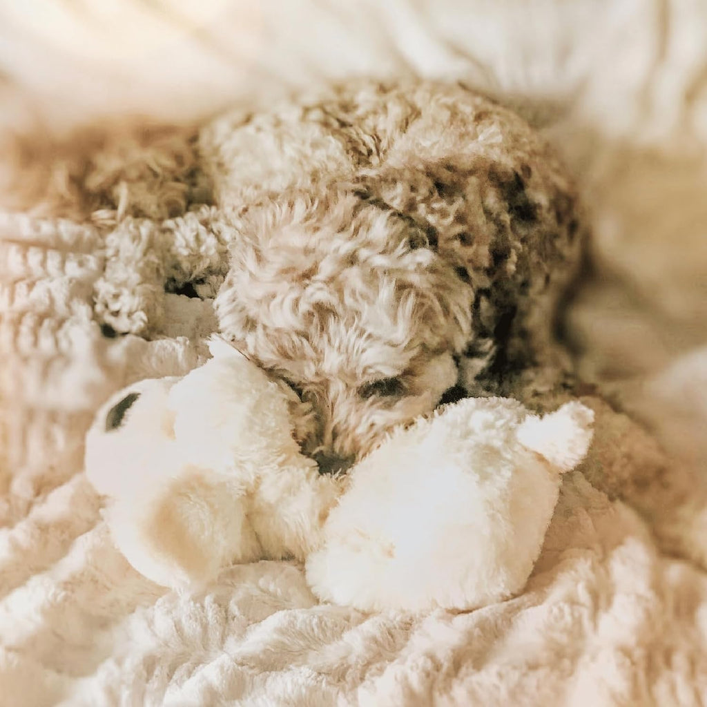 Snuggle Puppy Heartbeat Toy, Calming Comfort, Medium Breeds - Cream | Calming heartbeat toy, crate training comfort, heat pack, new puppy essentials, first nights, sleep, medium breeds 25-70 lbs