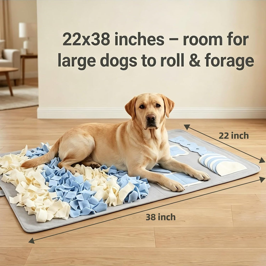 Snuffle Mat for Dogs: Slow Food Interactive Experience