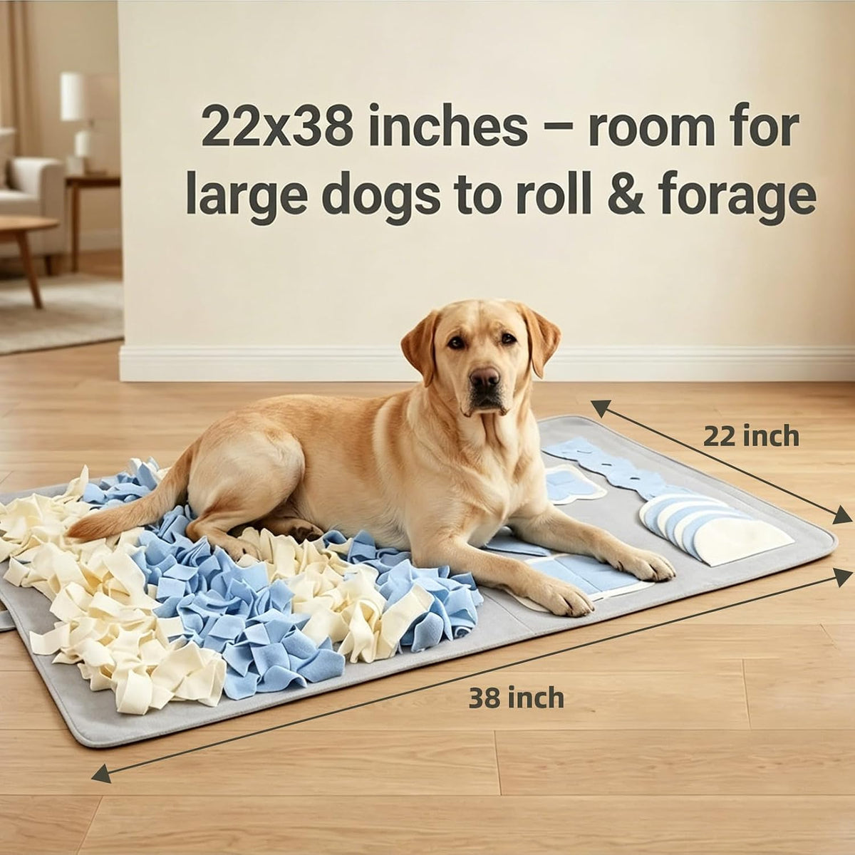 Snuffle Mat for Dogs: Slow Food Interactive Experience