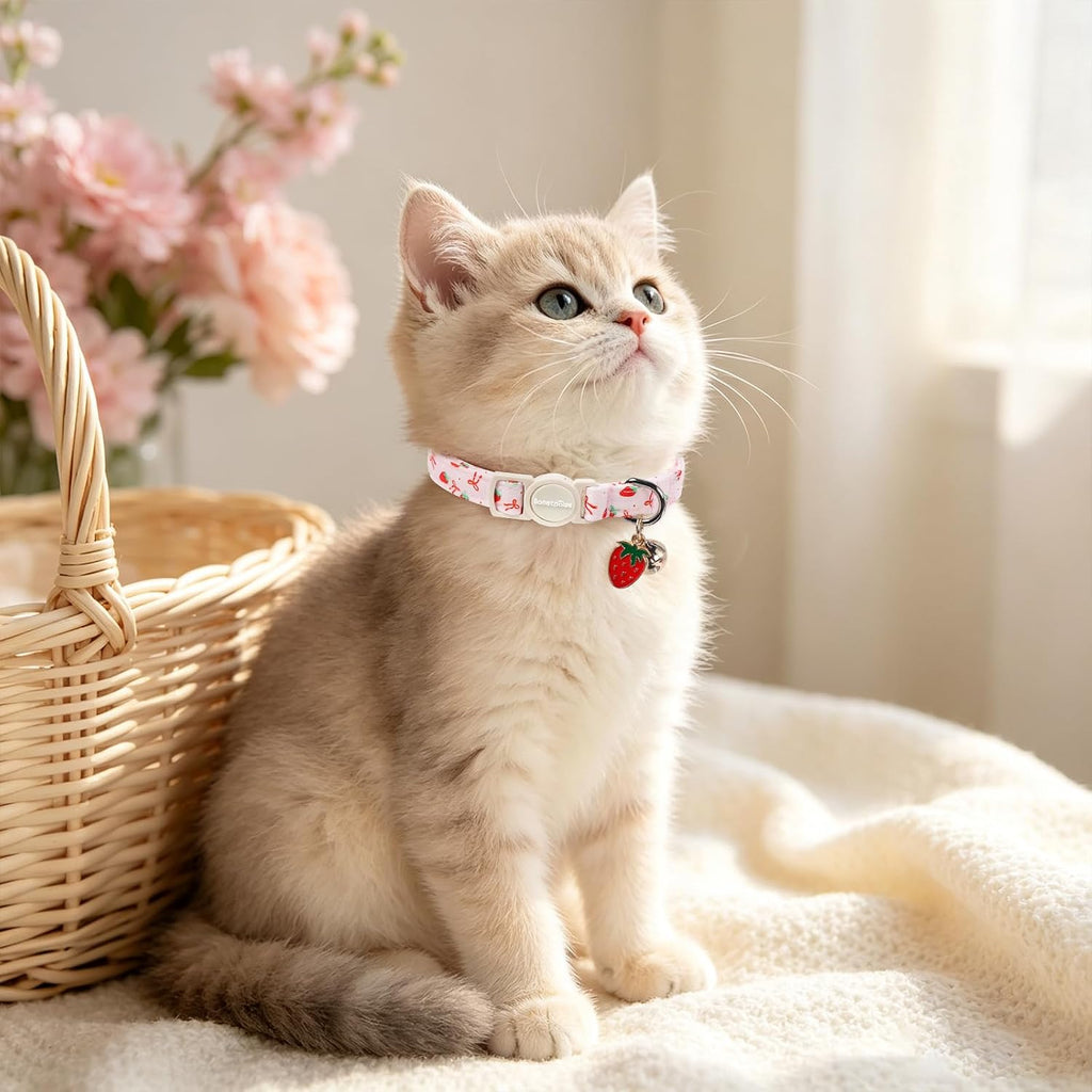 lionet paws 2 Pack Cat Collar Breakaway with Bells-Pink Plaid & Strawberry