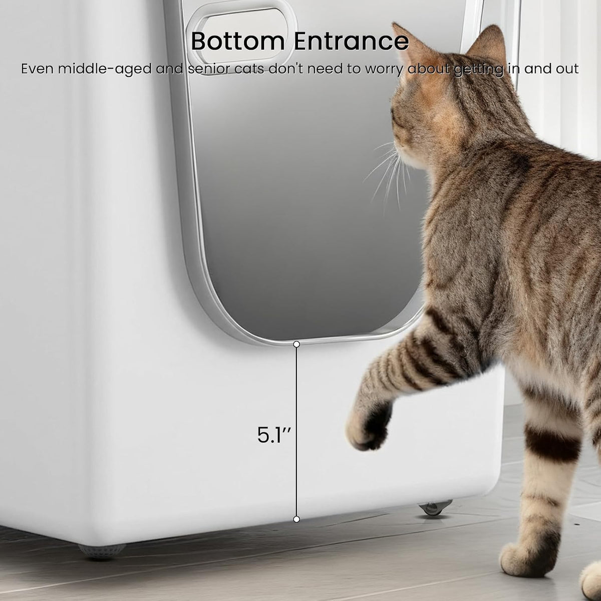 Stainless Steel Litter Box 13.7" High-Side for Big & Multi-Cats Home，White
