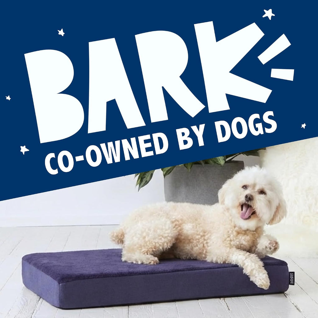 BarkBox Orthopedic Dog Bed - Medium