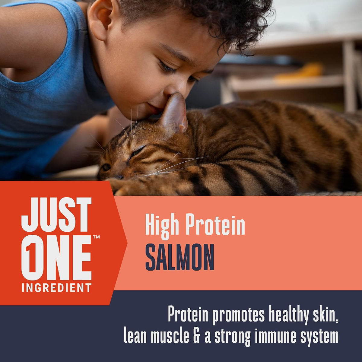 Whole Life Cat Just One Salmon Freeze Dried Cat Treats - 1 oz (Pack of 1)