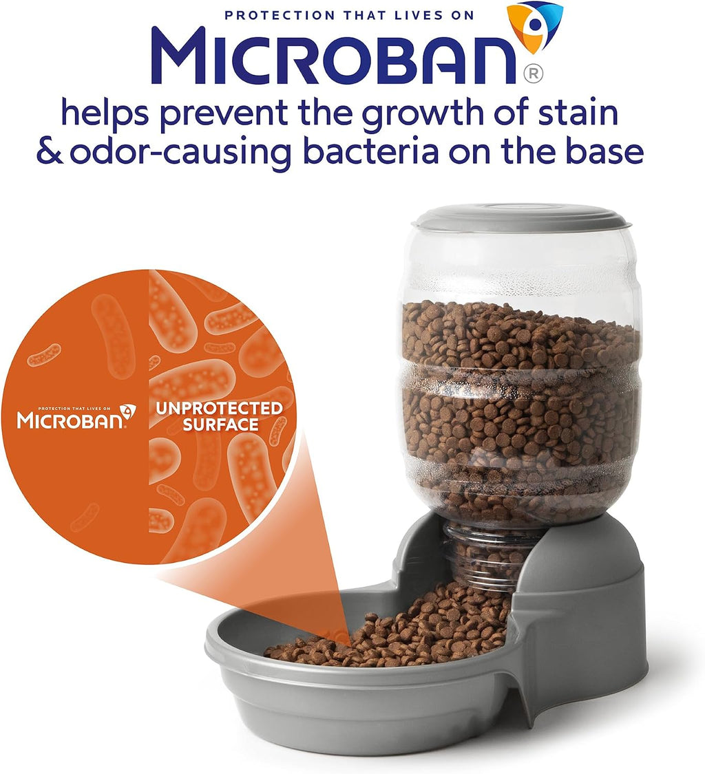 Petmate Replendish Automatic Dog Feeder, Microban Protection, 10lbs