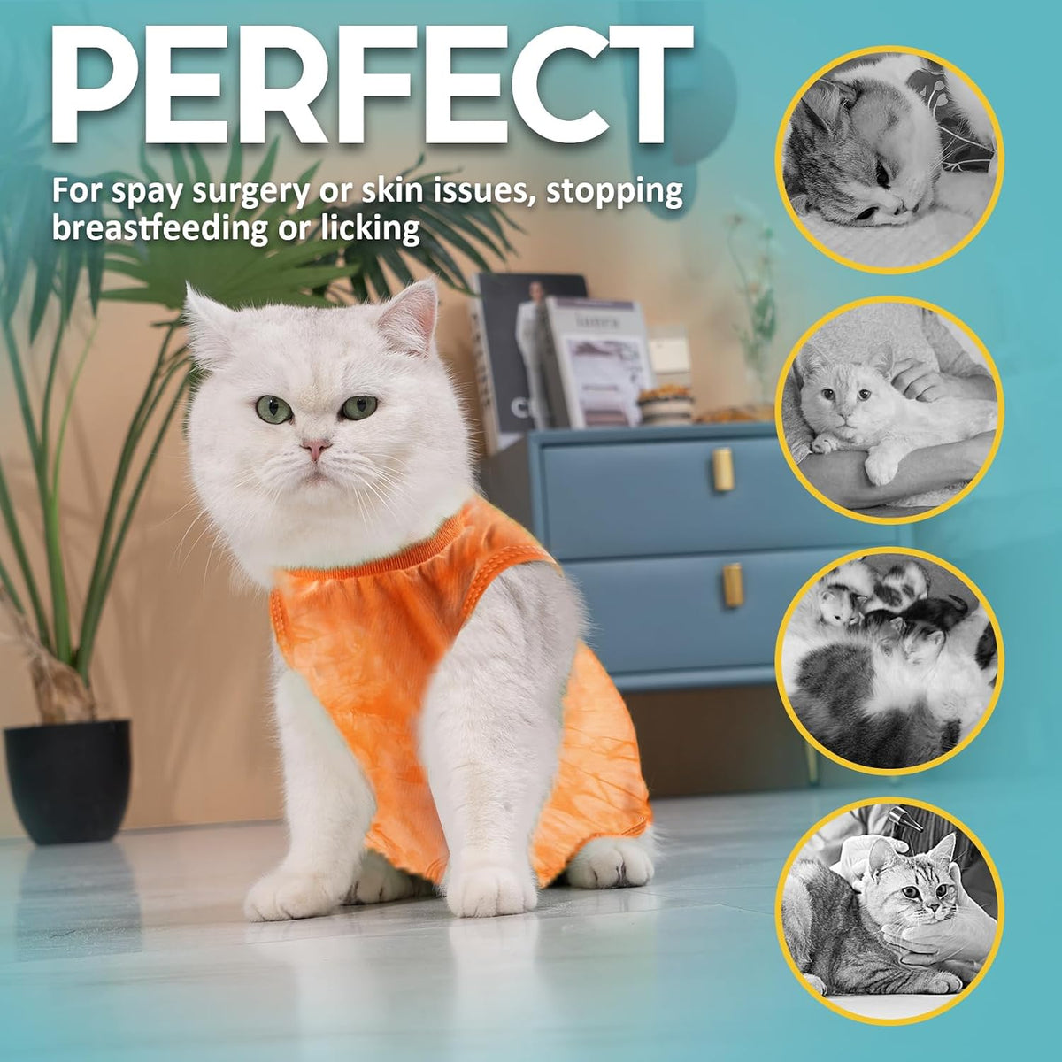 Avont Cat Recovery Suit - Kitten Onesie for Cats After Surgery