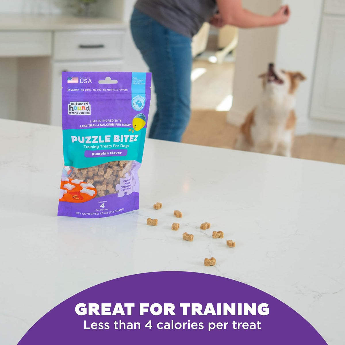 Outward Hound Nina Ottosson Puzzle Bitez Dog Treats, Pumpkin, 7.5 oz