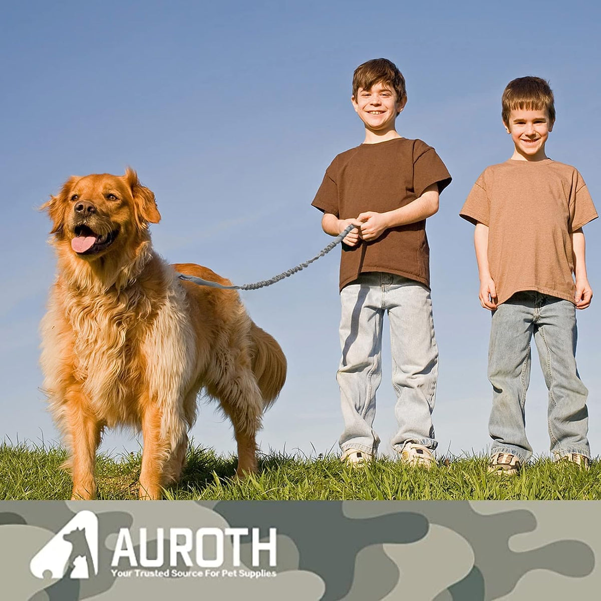 AUROTH Bungee Dog Leash for Large Dogs, No Pull for Shock Absorption