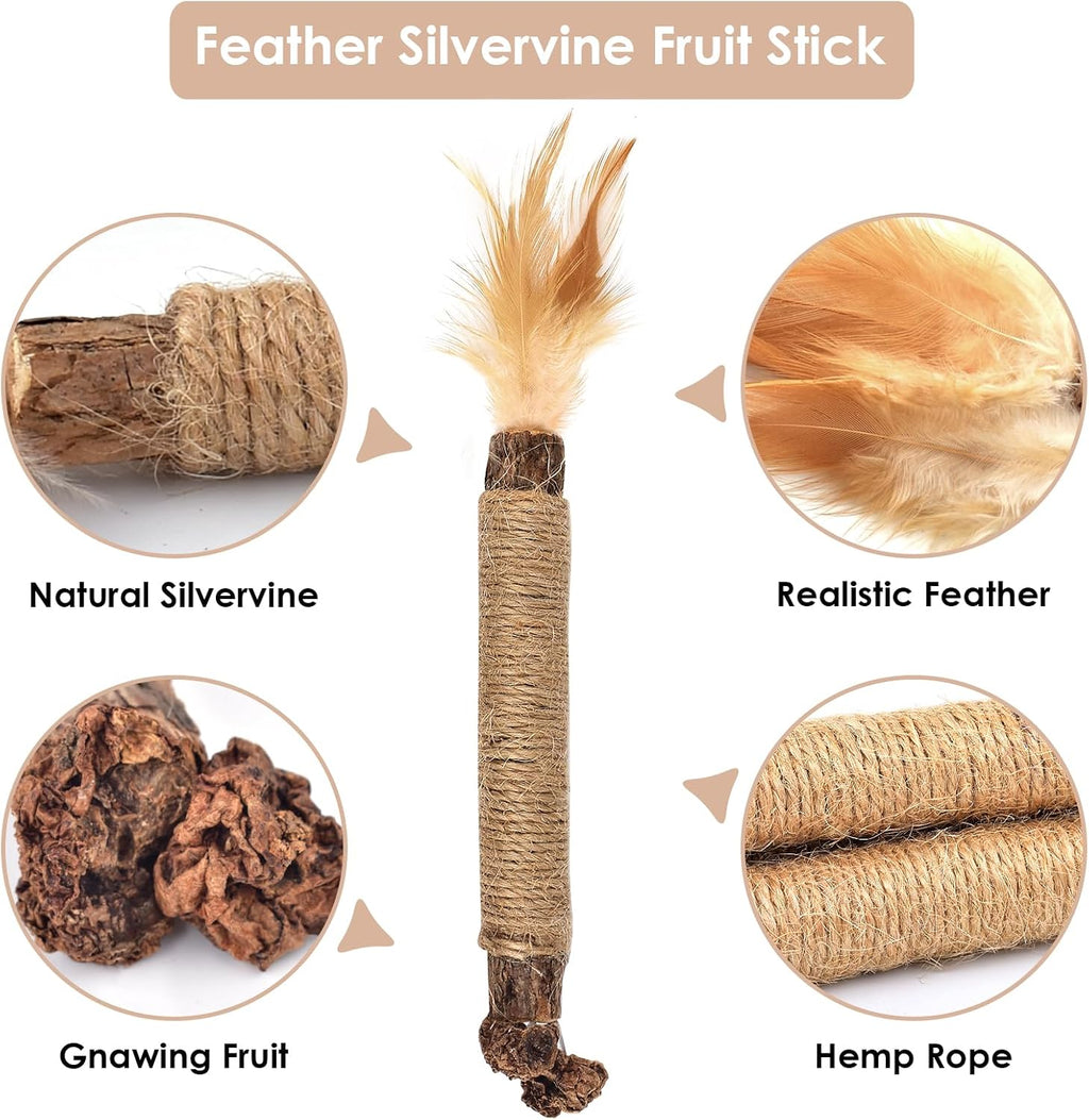 Bissap 10PCS Silvervine Catnip Chew Sticks, Interactive Toy for Cat Kitten